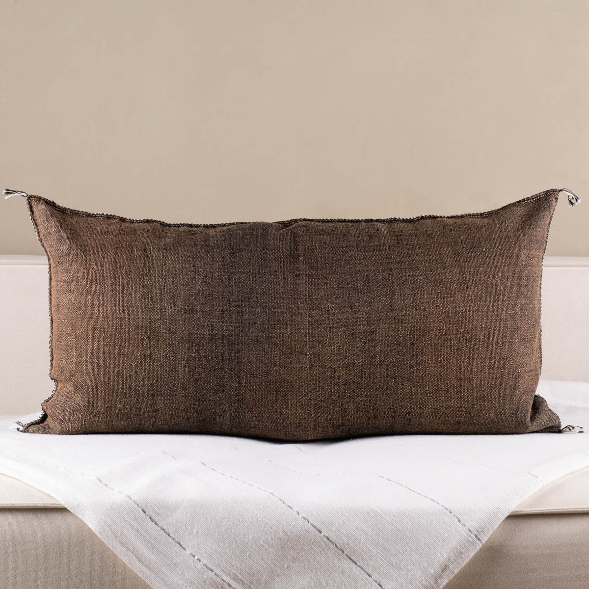 Coussin Marron en soie de cactus