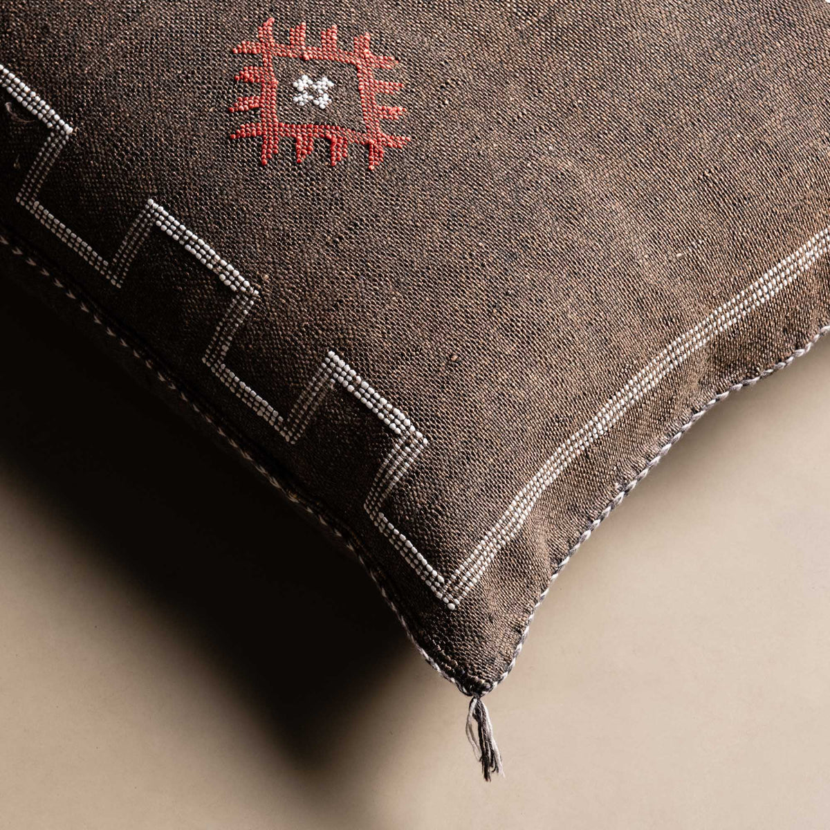Coussin Marron en soie de cactus