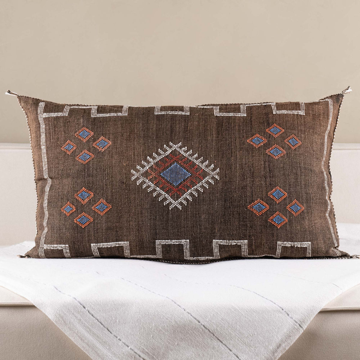 Coussin Marron en soie de cactus