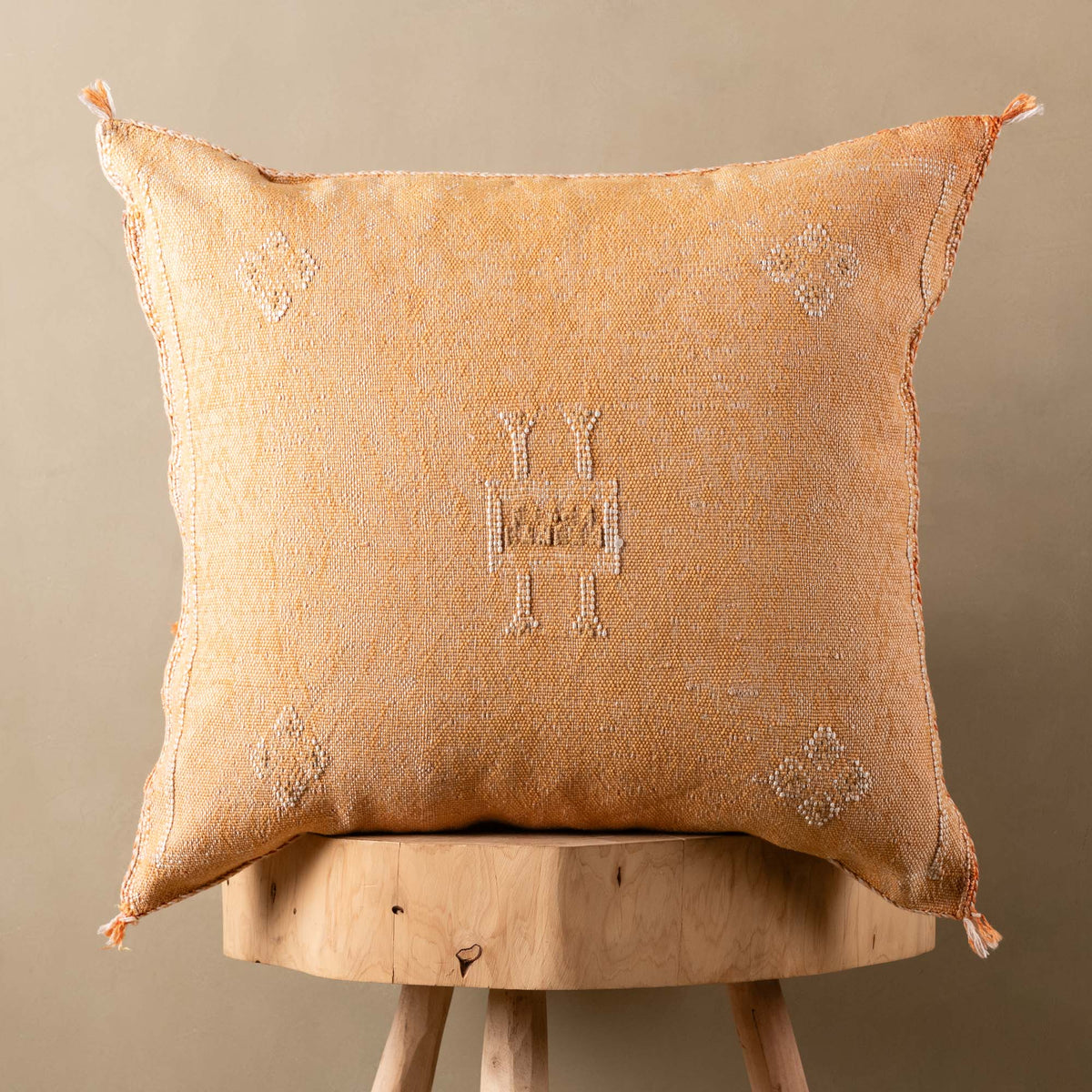 Coussin Orange en soie de cactus