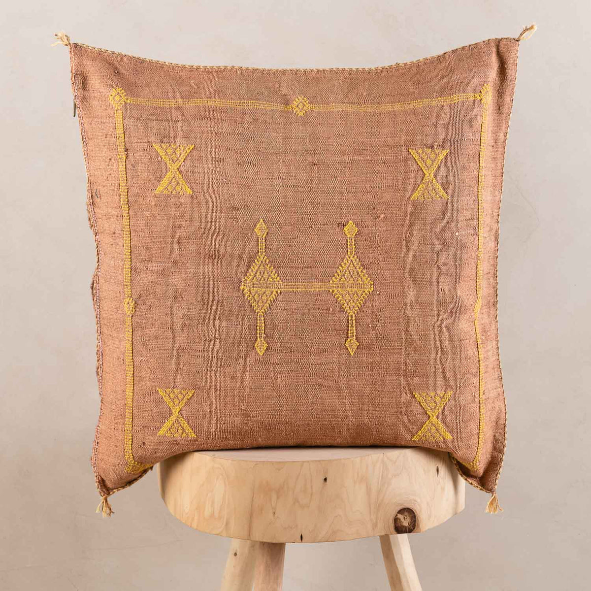 Coussin Marron en soie de cactus