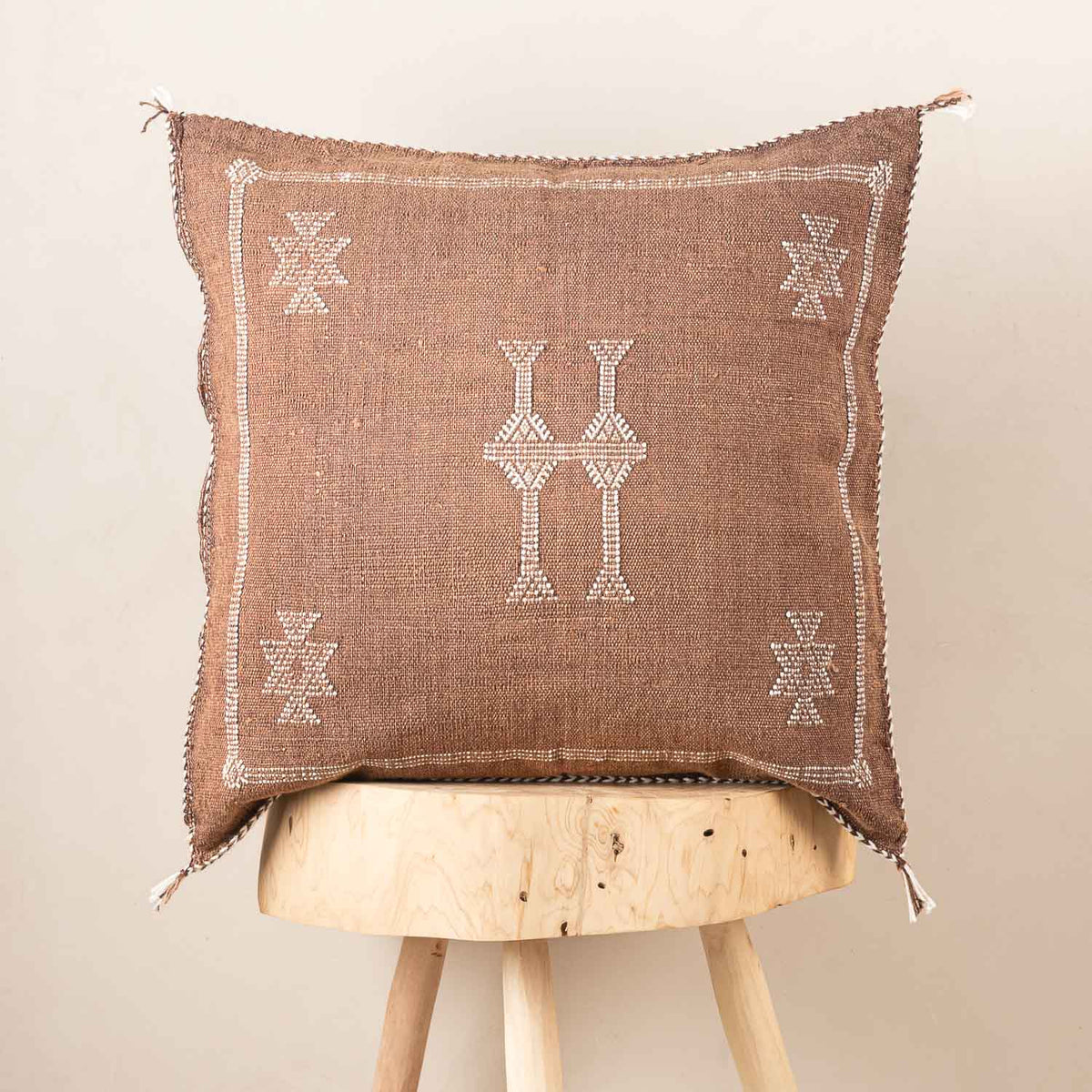 Coussin Marron en soie de cactus
