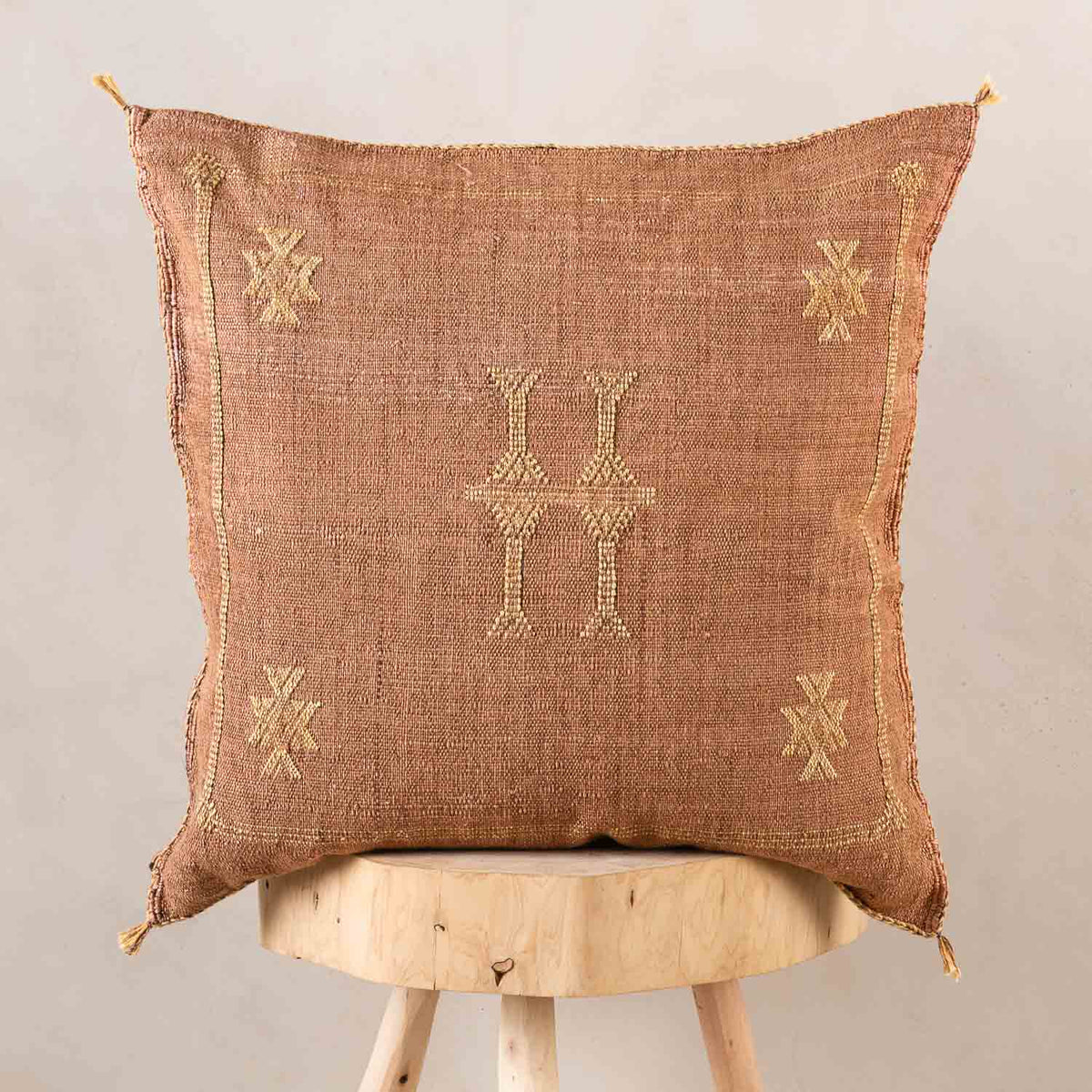 Coussin Marron en soie de cactus